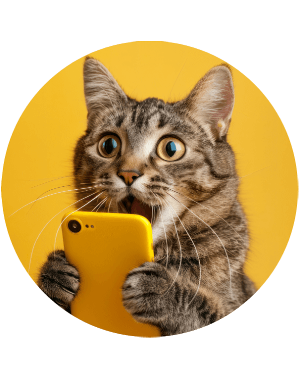 Present on all devices